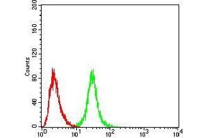 Flow cytometric analysis of Hela cells using OTUD4 mouse mAb (green) and negative control (red). (OTUD4 Antikörper  (AA 815-1049))
