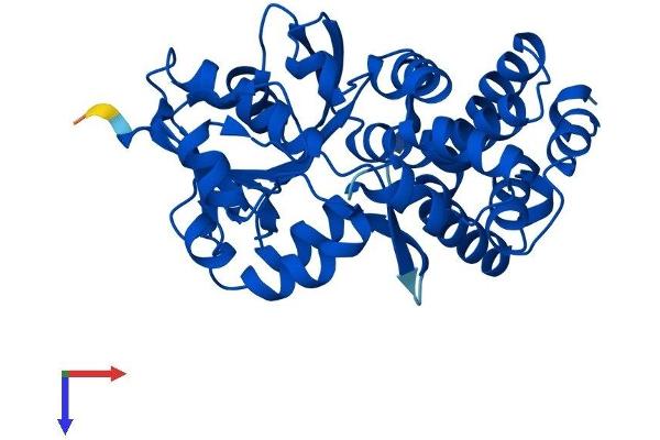 GPD1L Protein (AA 1-351) (His tag)
