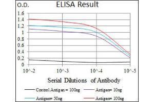 ELISA image for anti-T Antigen (AA 257-309) antibody (ABIN1845736) (T Antigen (AA 257-309) Antikörper)
