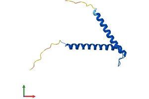 Protein Structure (PS) image for Translocase of Inner Mitochondrial Membrane 8A (TIMM8A) (AA 1-97) protein (His tag) (ABIN7556311)