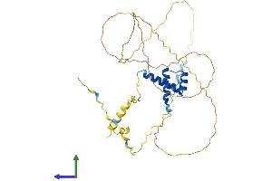 Protein Structure (PS) image for Gastrulation Brain Homeo Box 2 (GBX2) (AA 1-348) protein (His tag) (ABIN7547868)