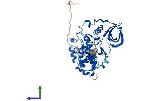 AlphaFold protein structure predicition of Human Recombinant CSNK2A3 Protein, UniprotID Q8NEV1