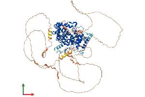 Protein Structure (PS) image for USP6 N-terminal Like (USP6NL) (AA 1-828) protein (His tag) (ABIN7555991)