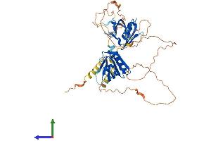 Protein Structure (PS) image for Docking Protein 3 (DOK3) (AA 1-444) protein (His tag) (ABIN7561831)