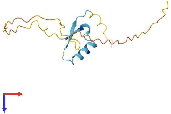 RIPPLY2 Protein (AA 1-128) (His tag)