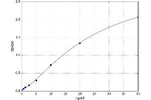 Tubulin Polymerization Promoting Protein (Tppp) ELISA Kit