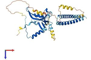 TAF7 Protein (AA 1-349) (His tag)