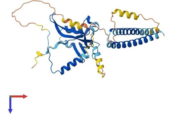 TAF7 Protein (AA 1-349) (His tag)