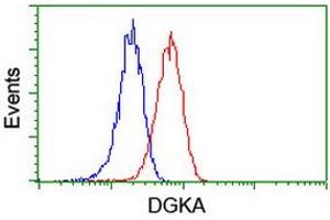 Flow cytometric Analysis of Jurkat cells, using anti-DGKA antibody (ABIN2455398), (Red), compared to a nonspecific negative control antibody, (Blue).