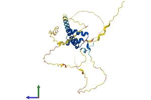 AlphaFold protein structure predicition of Mouse Recombinant Hmx2 Protein, UniprotID P43687