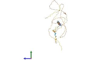 Protein Structure (PS) image for Junctional Sarcoplasmic Reticulum Protein 1 (JSRP1) (AA 1-331) protein (His tag) (ABIN7548609)