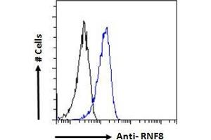 ABIN184931 Flow cytometric analysis of paraformaldehyde fixed HeLa cells (blue line), permeabilized with 0. (RNF8 Antikörper  (N-Term))