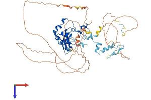 CNOT2 Protein (AA 1-540) (His tag)