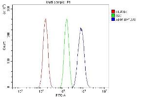 Flow Cytometry analysis of Neuro-2a cells using anti-Ahr antibody (ABIN7600100).