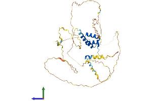 Protein Structure (PS) image for Homeobox D3 (HOXD3) (AA 1-432) protein (His tag) (ABIN7548466)
