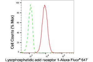 Flow cytometric analysis of Lysophosphatidic acid receptor 1 expression in C2C12 cells using Lysophosphatidic acid receptor 1 antibody (ABIN7799304), 1:2,000). (Rekombinanter LPAR1 Antikörper)