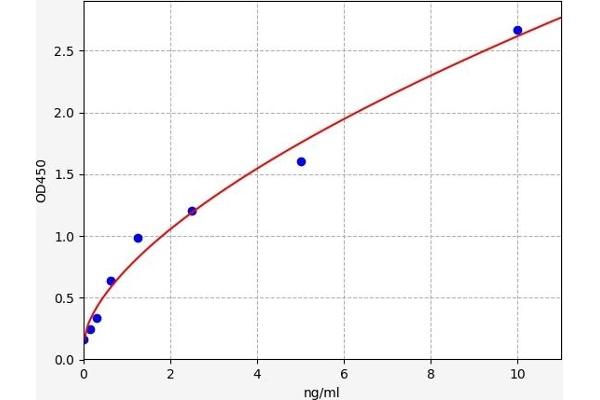 FGFR1 ELISA Kit