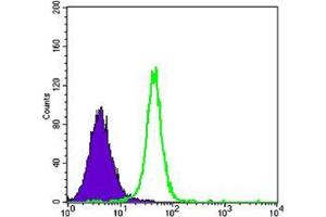 Flow cytometric analysis of K562 cells using HK2 mouse mAb (green) and negative control (purple). (Hexokinase 2 Antikörper)