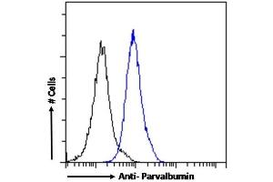 (ABIN185412) Flow cytometric analysis of paraformaldehyde fixed Kelly cells (blue line), permeabilized with 0. (PVALB Antikörper  (C-Term))
