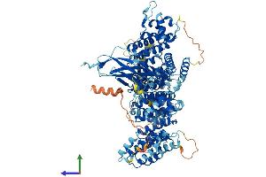 Protein Structure (PS) image for Integrator Complex Subunit 4 (INTS4) (AA 1-964) protein (His tag) (ABIN7564596)