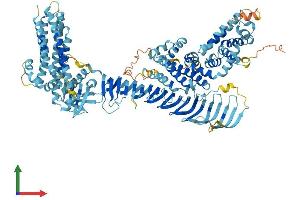 Protein Structure (PS) image for ALS2 C-terminal Like (ALS2CL) (AA 1-953) protein (His tag) (ABIN7551996)