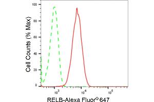 Flow cytometric analysis of RELB expression in C2C12 cells using RELB antibody (ABIN7800804), 1:2,000). (Rekombinanter RELB Antikörper)