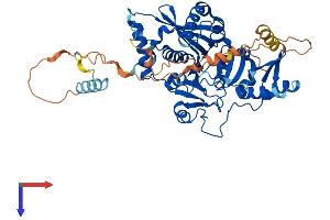 ATE1 Protein (AA 1-518) (His tag)
