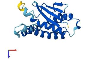 TRAPPC6B Protein (AA 1-158) (His tag)