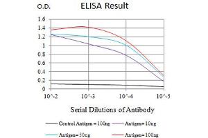 Black line: Control Antigen (100 ng),Purple line: Antigen (10 ng), Blue line: Antigen (50 ng), Red line:Antigen (100 ng) (PTPRD Antikörper  (AA 1077-1265))