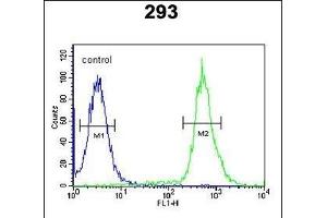 Flow Cytometry (FACS) image for anti-TAM41, Mitochondrial Translocator Assembly and Maintenance Protein (TAMM41) (AA 180-208) antibody (ABIN651587)