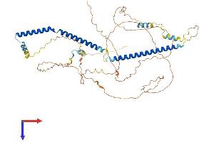 AlphaFold protein structure predicition of Human Recombinant TSGA10IP Protein, UniprotID Q3SY00