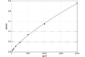 Desmoglein 3 (DSG3) ELISA Kit
