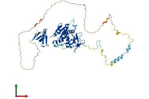 Protein Structure (PS) image for Enhancer of mRNA Decapping 3 (EDC3) (AA 1-508) protein (His tag) (ABIN7547271)