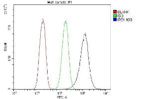 Flow Cytometry analysis of PC-3 cells using anti-IRS1 antibody (ABIN7599659). (IRS1 Antikörper  (AA 1041-1242))