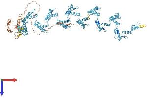 AlphaFold protein structure predicition of Human Recombinant ZNF546 Protein, UniprotID Q86UE3