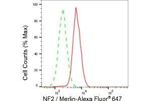 Flow cytometric analysis of NF2 / Merlin expression in HAP-1 cells using NF2 / Merlin antibody (ABIN7799579), 1:2,000). (Rekombinanter Merlin Antikörper)