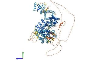 AlphaFold protein structure predicition of Human Recombinant RASGRF2 Protein, UniprotID O14827 (Ras Protein-Specific Guanine Nucleotide-Releasing Factor 2 (RASGRF2) (AA 1-1237) protein (His tag))