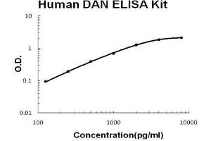 ELISA image for Neuroblastoma 1, DAN Family BMP Antagonist (NBL1) ELISA Kit (ABIN2859289)
