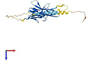 TNFSF15 Protein (AA 1-252) (His tag)