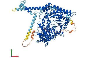 Protein Structure (PS) image for Carnitine Palmitoyltransferase 1C (CPT1C) (AA 1-803) protein (His tag) (ABIN7553532)