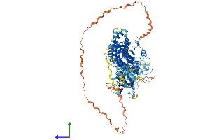 Protein Structure (PS) image for Dynamin 2 (DNM2) (AA 1-870) protein (His tag) (ABIN7553740)