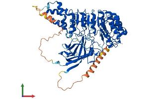 Protein Structure (PS) image for F-Box and Leucine-Rich Repeat Protein 4 (FBXL4) (AA 1-621) protein (His tag) (ABIN7547603)