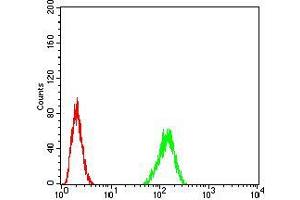 Flow Cytometry (FACS) image for anti-TAR DNA Binding Protein (TARDBP) (AA 126-260) antibody (ABIN5542391)