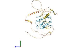 MAZ Protein (AA 1-477) (His tag)