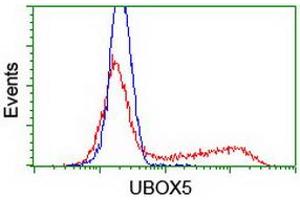Image no. 2 for anti-U-Box Domain Containing 5 (UBOX5) (AA 1-130), (AA 419-487) antibody (ABIN1490571) (UBOX5 Antikörper  (AA 1-130, AA 419-487))
