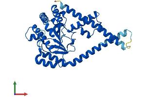 Protein Structure (PS) image for Dehydrodolichyl Diphosphate Synthase (DHDDS) (AA 1-333) protein (His tag) (ABIN7547025)