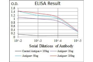 ELISA image for anti-Myogenic Factor 6 (MYF6) (AA 85-150) antibody (ABIN1845795)
