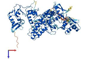 G2E3 Protein (AA 1-706) (His tag)