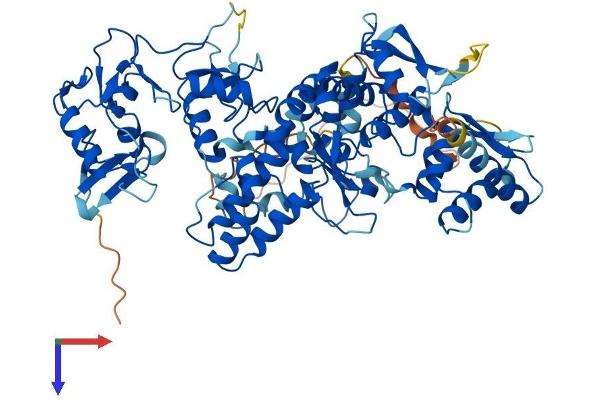 G2E3 Protein (AA 1-706) (His tag)