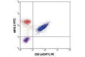 Flow Cytometry (FACS) image for anti-CD247 Molecule (CD247) antibody (FITC) (ABIN2661613) (CD247 Antikörper  (FITC))